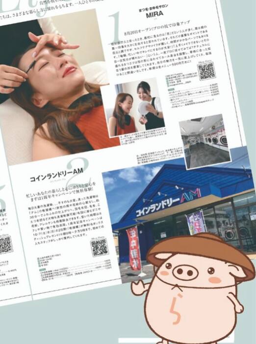画像242